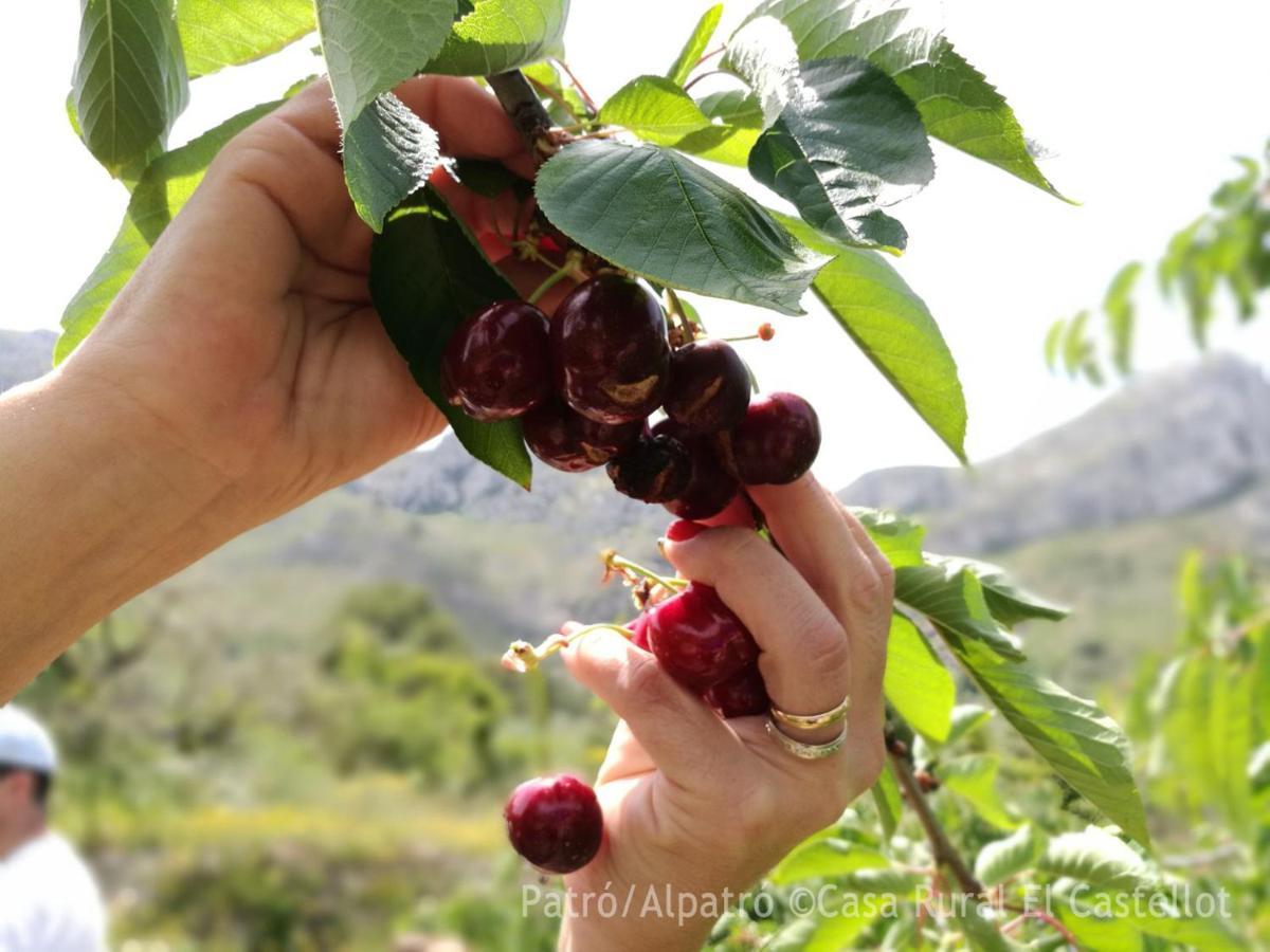 Buhardilla Rustica En La Vall De Gallinera Aparthotel Patró Eksteriør bilde