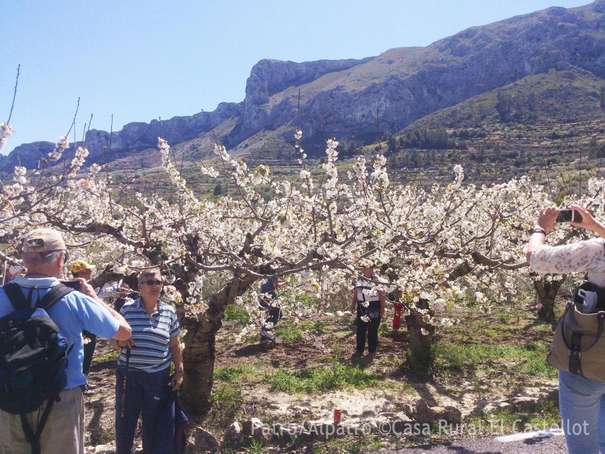Buhardilla Rustica En La Vall De Gallinera Aparthotel Patró Eksteriør bilde